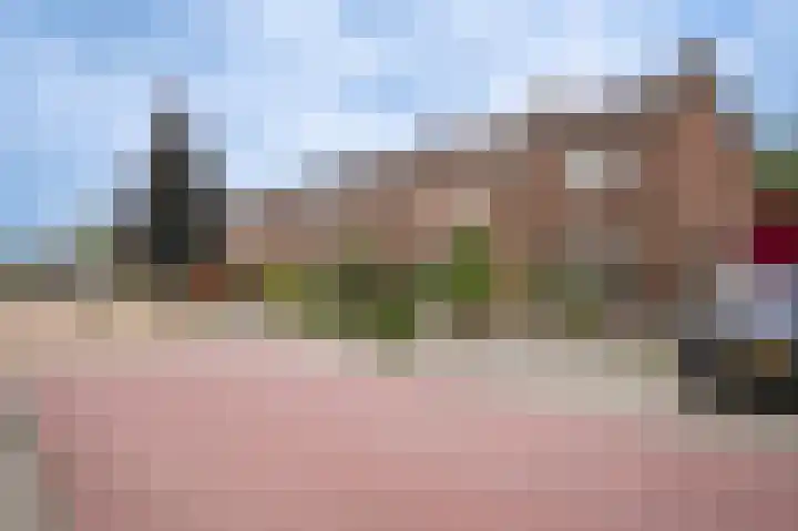 Lijsterbesstraat 55 Opheusden thumbnail 31