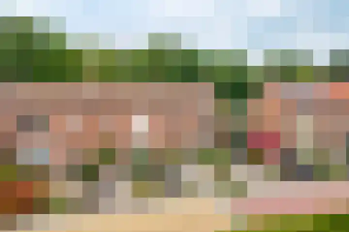 Lijsterbesstraat 55 Opheusden thumbnail 33