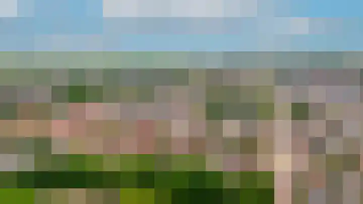 Lijsterbesstraat 55 Opheusden thumbnail 35
