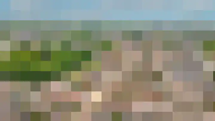 Lijsterbesstraat 55 Opheusden thumbnail 36