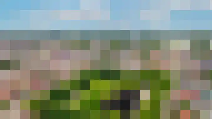 Lijsterbesstraat 55 Opheusden thumbnail 37