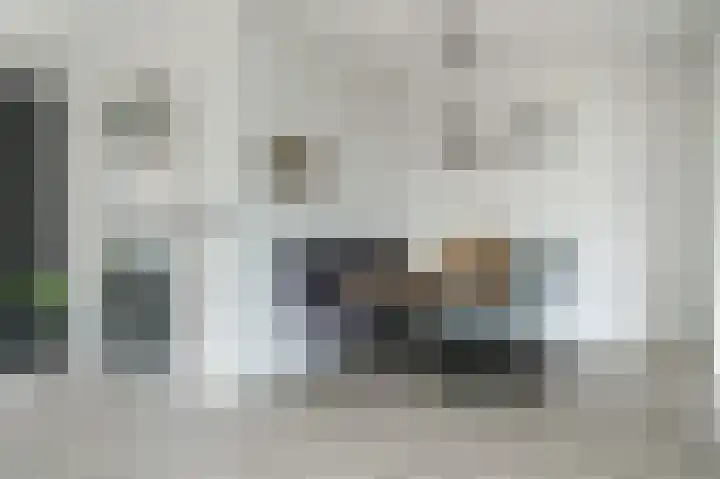 Lijsterbesstraat 55 Opheusden thumbnail 4