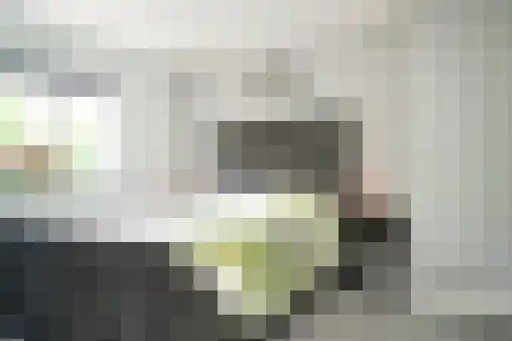Lijsterbesstraat 55 Opheusden thumbnail 5
