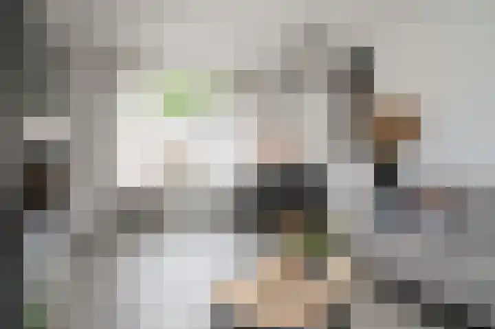 Lijsterbesstraat 55 Opheusden thumbnail 8