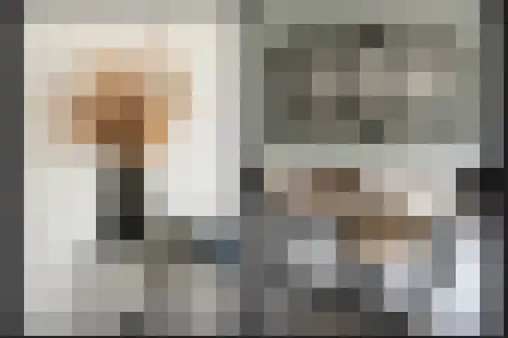 Lijsterbesstraat 55 Opheusden thumbnail 9
