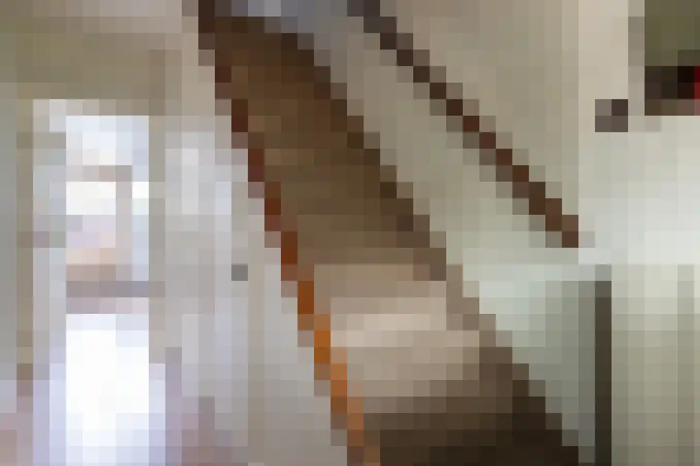 Lijsterbesstraat 6 Roelofarendsveen thumbnail 10