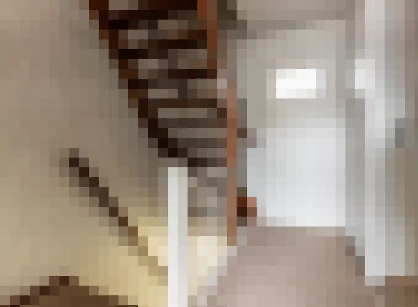 Lijsterbesstraat 6 Roelofarendsveen thumbnail 11