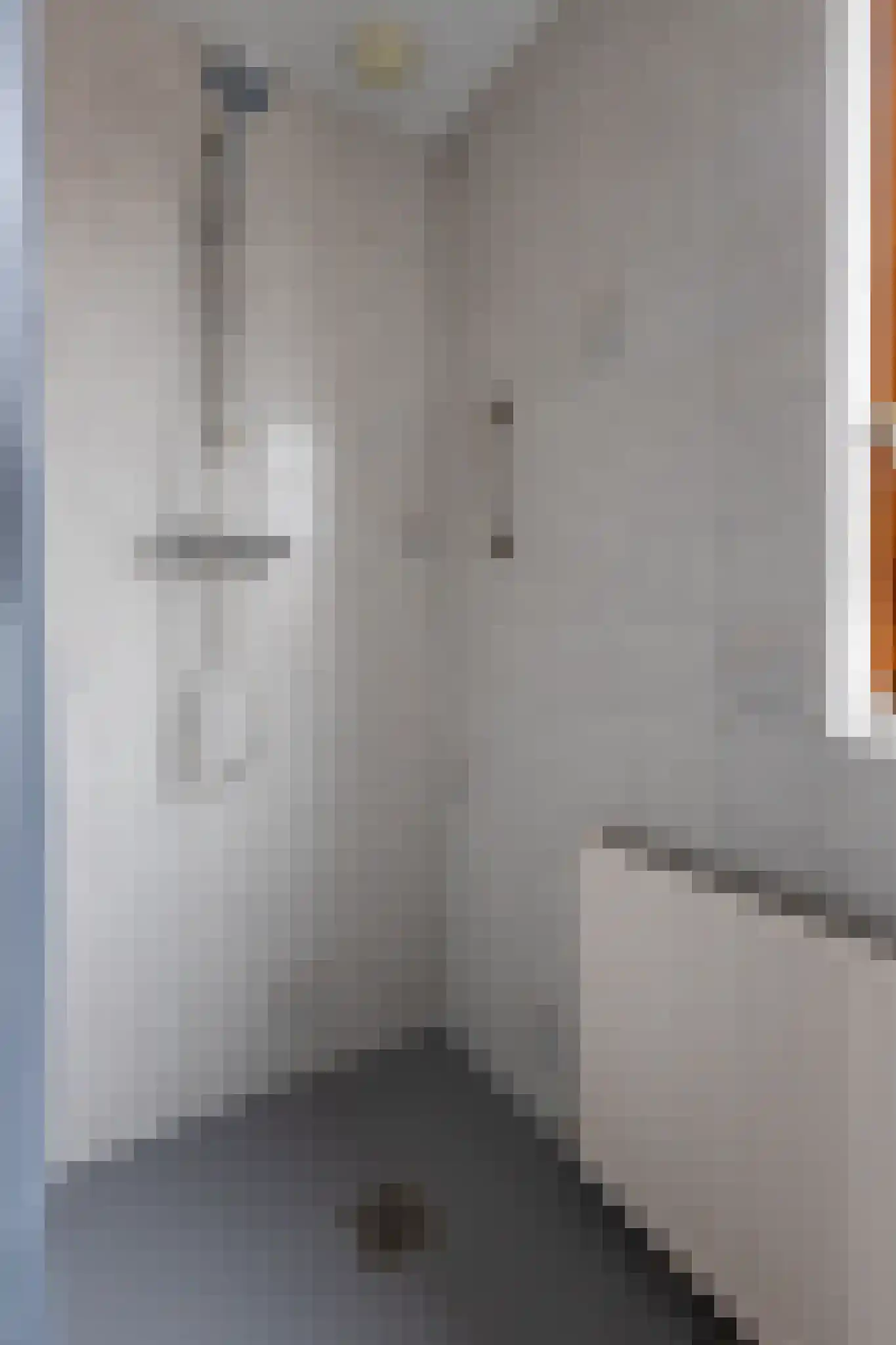 Lijsterbesstraat 6 Roelofarendsveen thumbnail 20
