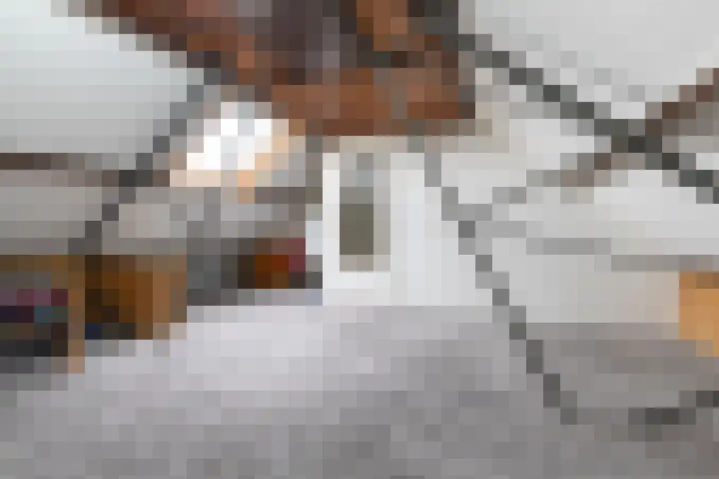 Lijsterbesstraat 6 Roelofarendsveen thumbnail 21