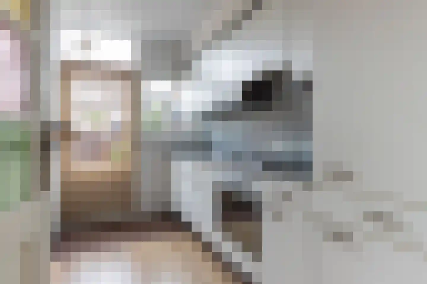 Lijsterbesstraat 6 Roelofarendsveen thumbnail 8