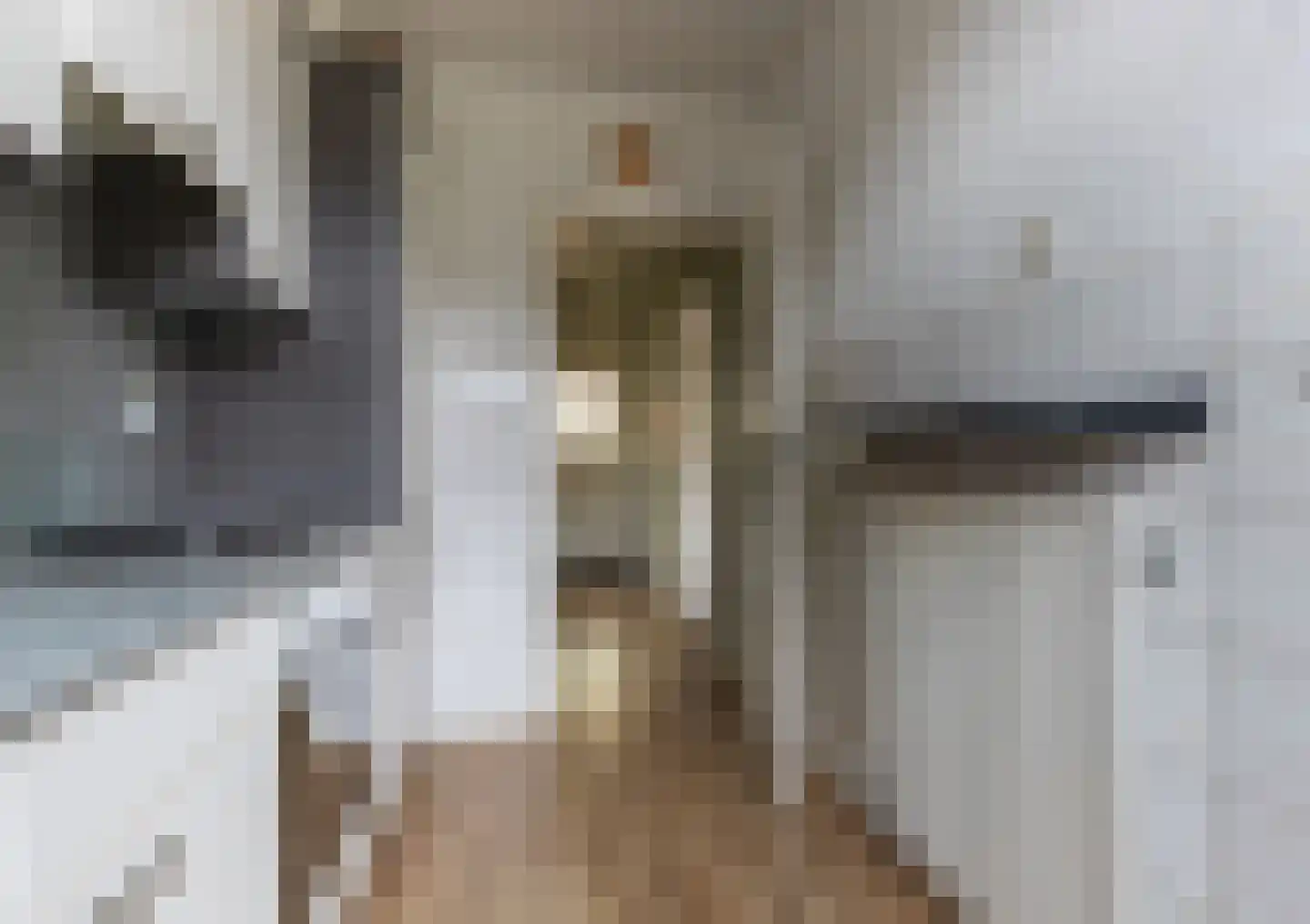 Lijsterbesstraat 6 Roelofarendsveen thumbnail 9