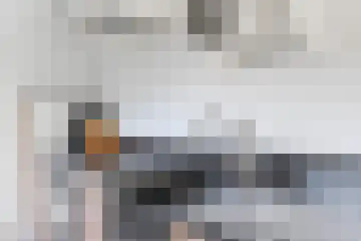 Lijsterbesstraat 62 Wezep thumbnail 11