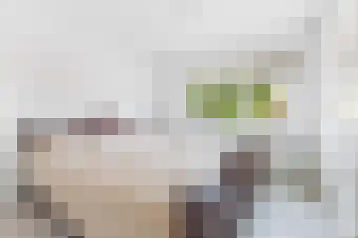 Lijsterbesstraat 62 Wezep thumbnail 20