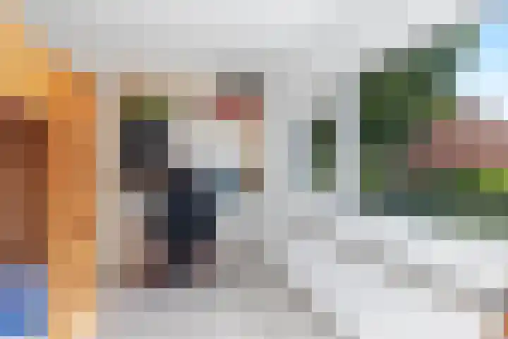 Lijsterbesstraat 62 Wezep thumbnail 23