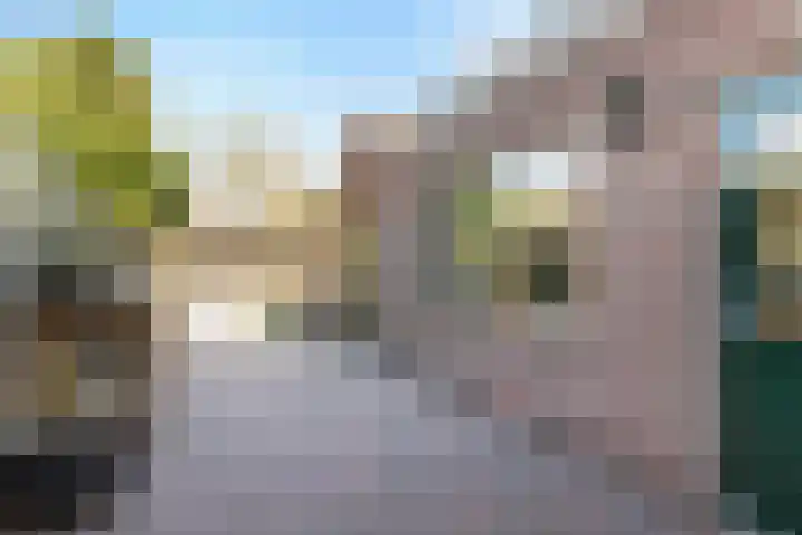 Lijsterbesstraat 62 Wezep thumbnail 28