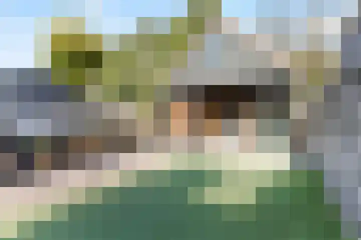 Lijsterbesstraat 62 Wezep thumbnail 30