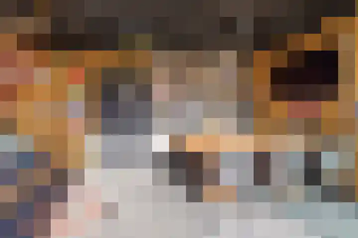 Lijsterbesstraat 62 Wezep thumbnail 33