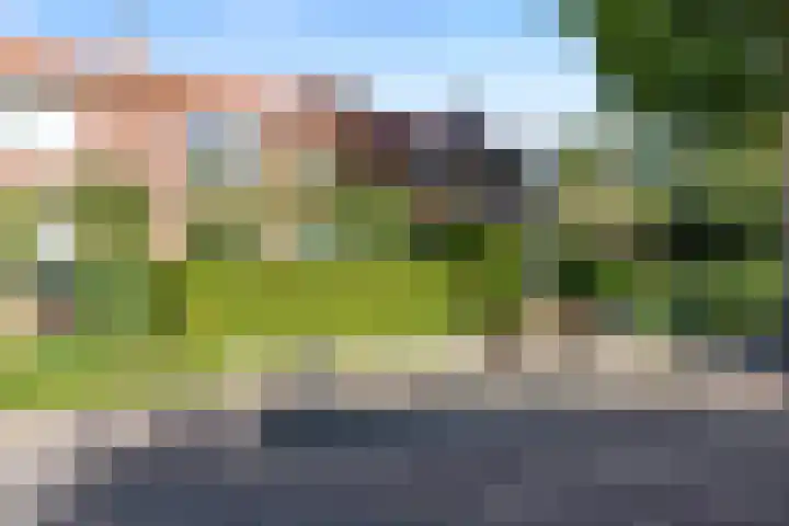 Lijsterbesstraat 62 Wezep thumbnail 6