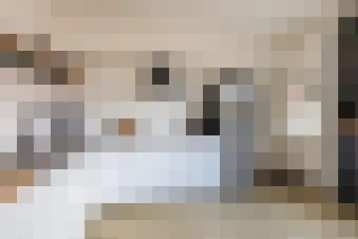 Lijsterbesstraat 69 Waddinxveen thumbnail 10