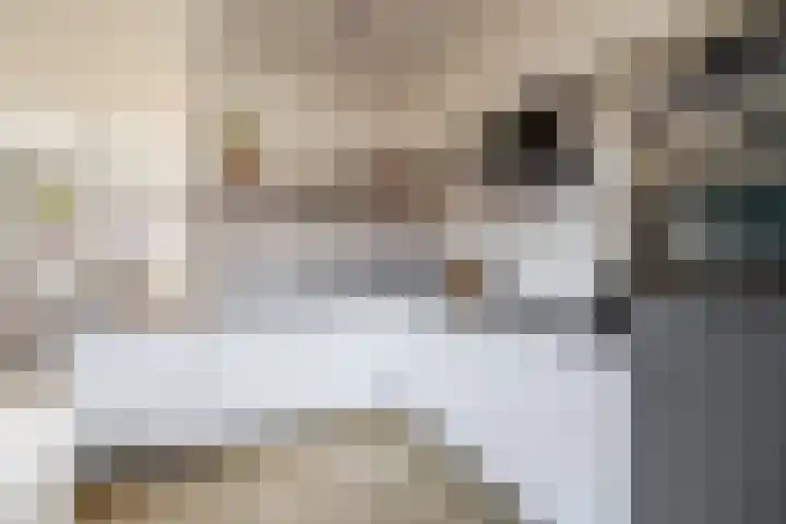 Lijsterbesstraat 69 Waddinxveen thumbnail 11