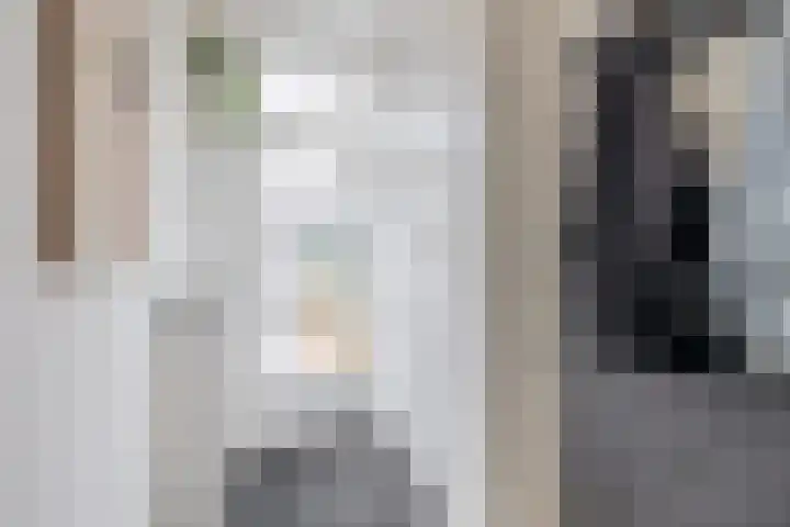 Lijsterbesstraat 69 Waddinxveen thumbnail 13
