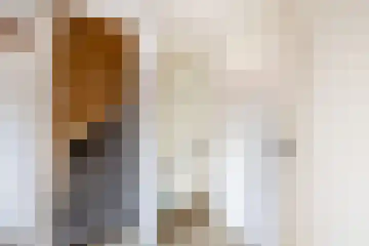 Lijsterbesstraat 69 Waddinxveen thumbnail 15