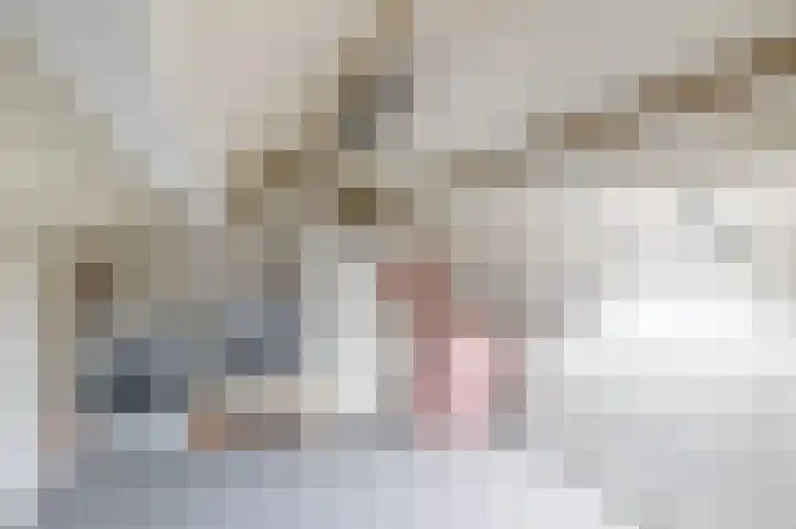 Lijsterbesstraat 69 Waddinxveen thumbnail 24