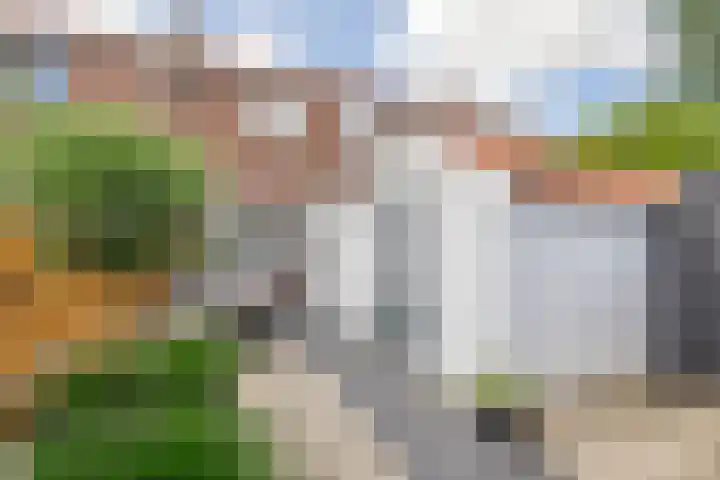 Lijsterbesstraat 69 Waddinxveen thumbnail 25