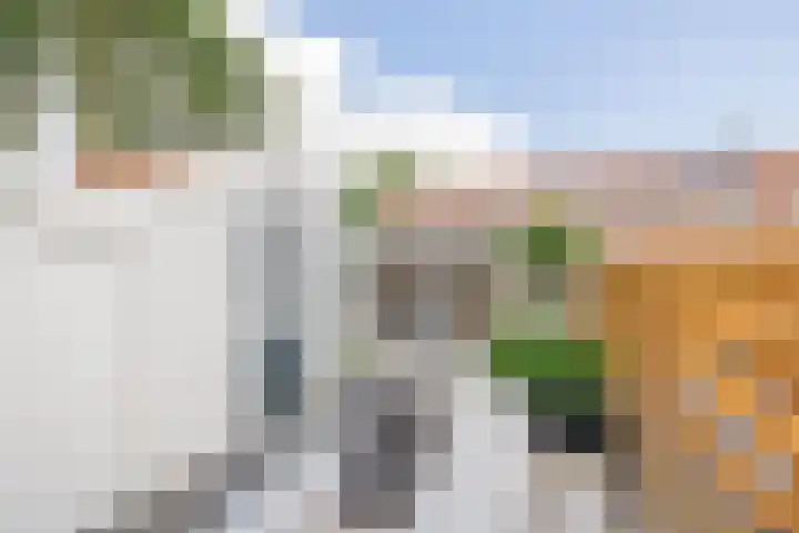 Lijsterbesstraat 69 Waddinxveen thumbnail 27