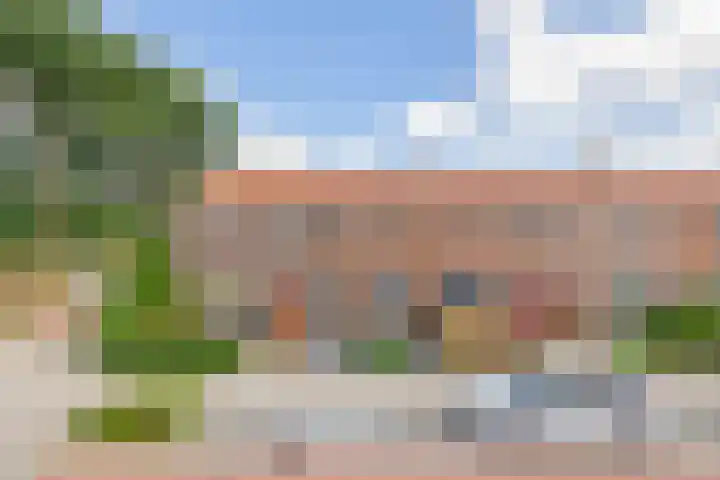 Lijsterbesstraat 69 Waddinxveen thumbnail 29