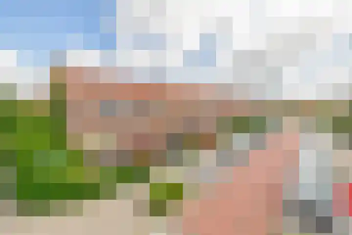 Lijsterbesstraat 69 Waddinxveen thumbnail 30