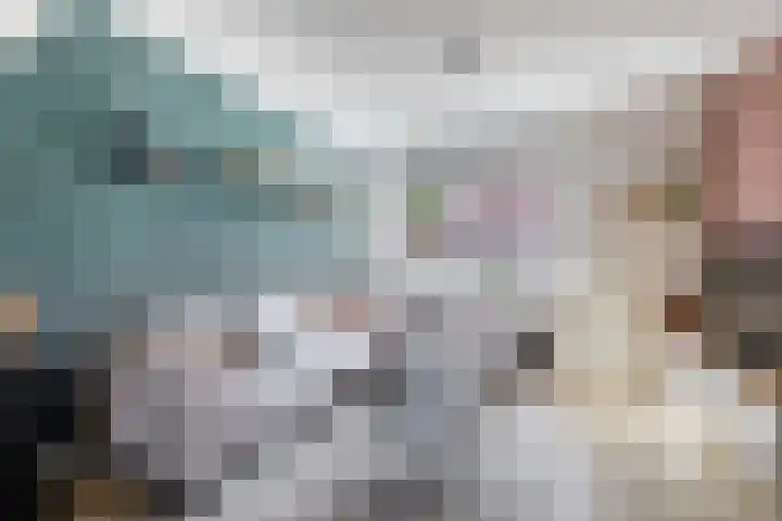 Lijsterbesstraat 69 Waddinxveen thumbnail 4