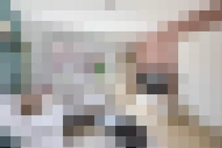 Lijsterbesstraat 69 Waddinxveen thumbnail 5