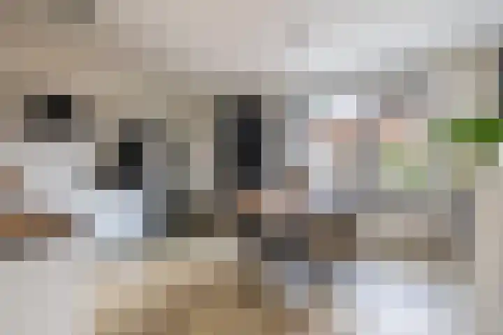 Lijsterbesstraat 69 Waddinxveen thumbnail 8