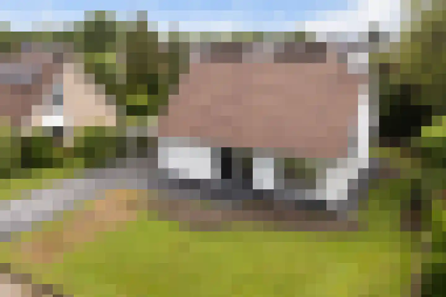 Lijsterbesstraat 7 Grootegast thumbnail 43