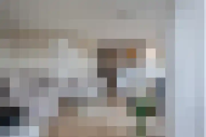 Lijsterbesstraat 72 Roden thumbnail 10
