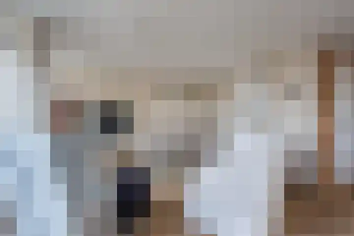 Lijsterbesstraat 72 Roden thumbnail 12