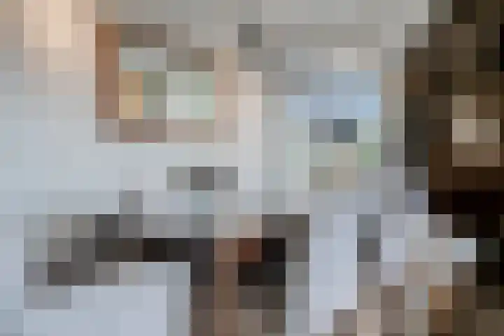 Lijsterbesstraat 72 Roden thumbnail 14