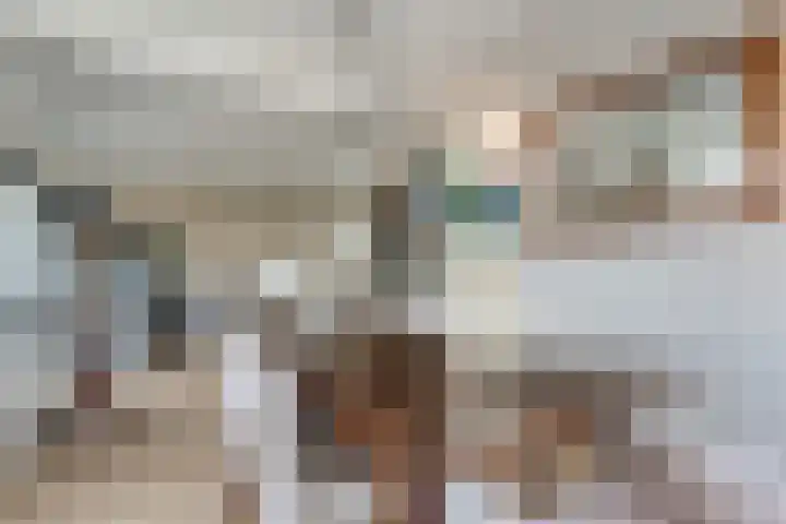 Lijsterbesstraat 72 Roden thumbnail 15