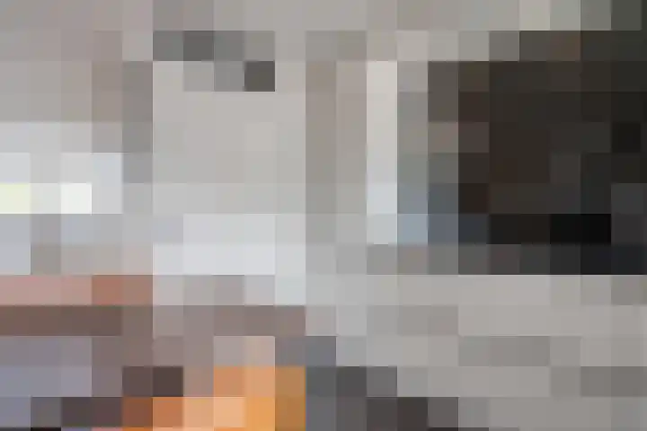 Lijsterbesstraat 72 Roden thumbnail 20