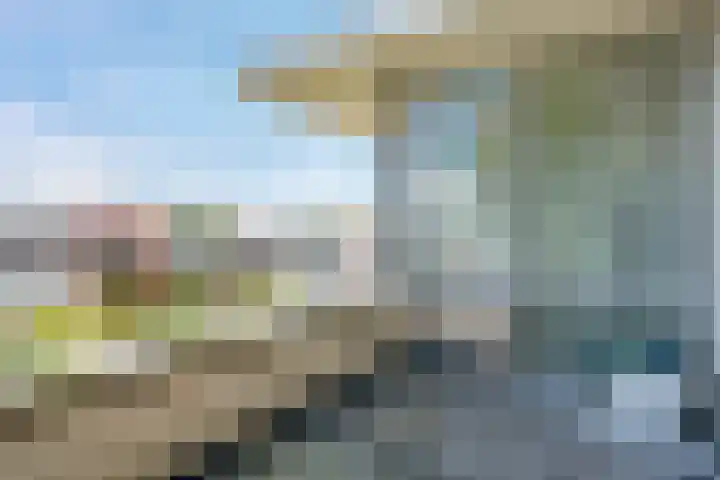 Lijsterbesstraat 72 Roden thumbnail 22