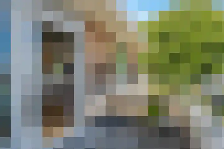 Lijsterbesstraat 72 Roden thumbnail 23