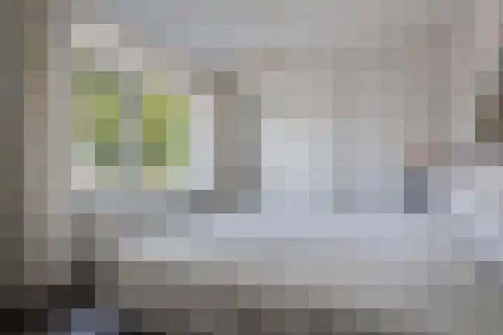 Lijsterbesstraat 72 Roden thumbnail 28