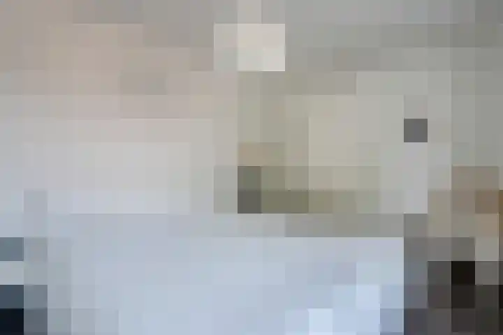 Lijsterbesstraat 72 Roden thumbnail 29