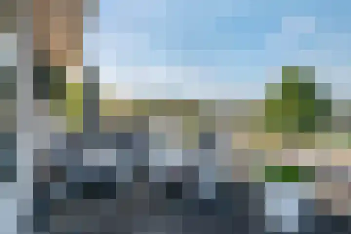 Lijsterbesstraat 72 Roden thumbnail 37