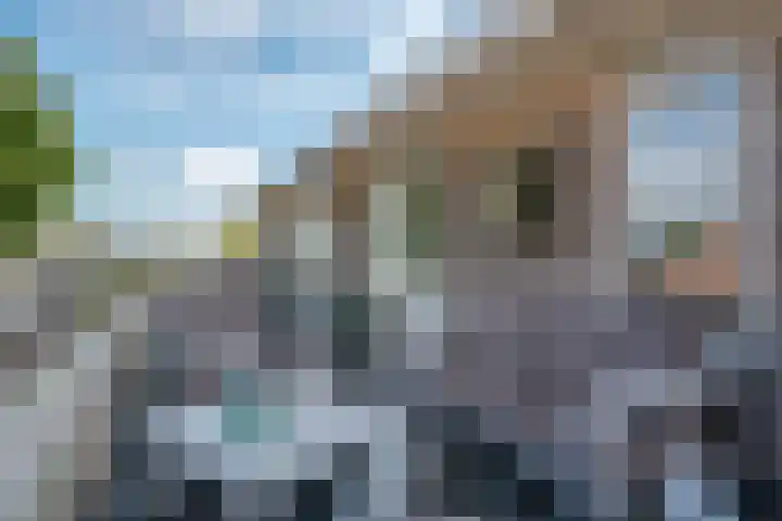 Lijsterbesstraat 72 Roden thumbnail 38