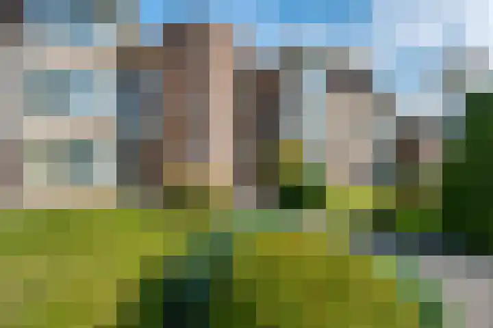 Lijsterbesstraat 72 Roden thumbnail 39