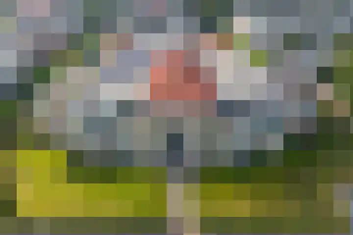 Lijsterbesstraat 72 Roden thumbnail 4