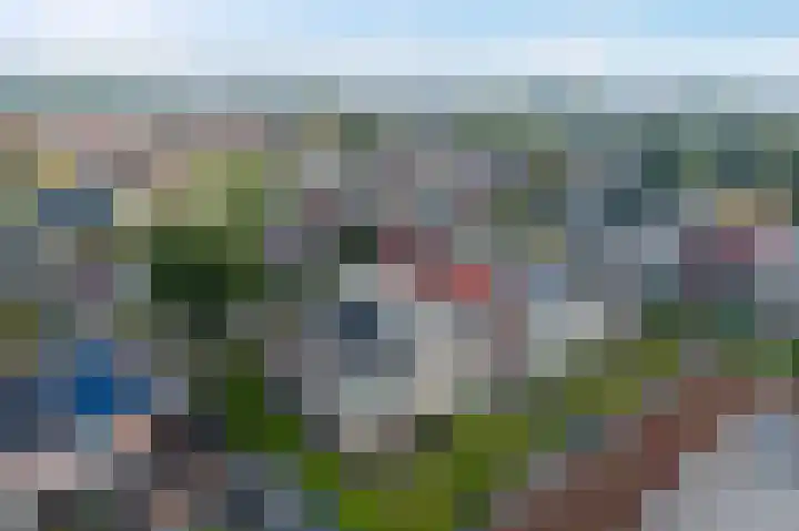 Lijsterbesstraat 72 Roden thumbnail 42
