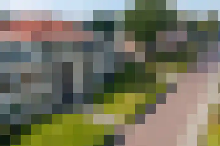 Lijsterbesstraat 72 Roden thumbnail 43